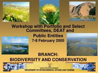 Workshop with Portfolio and Select Committees, DEAT and Public Entities 7-8 February 2005