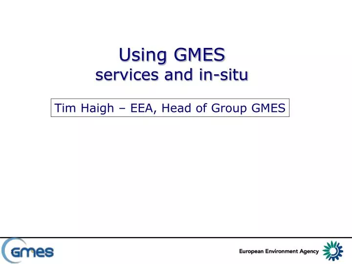 using gmes services and in situ