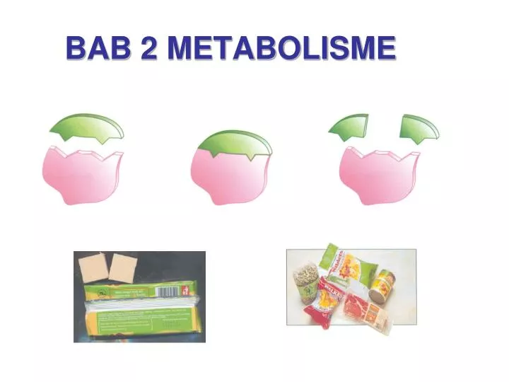 bab 2 metabolisme