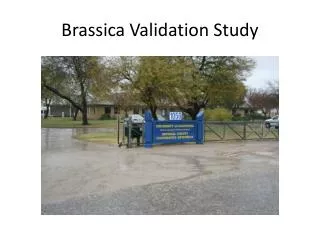 Brassica Validation Study