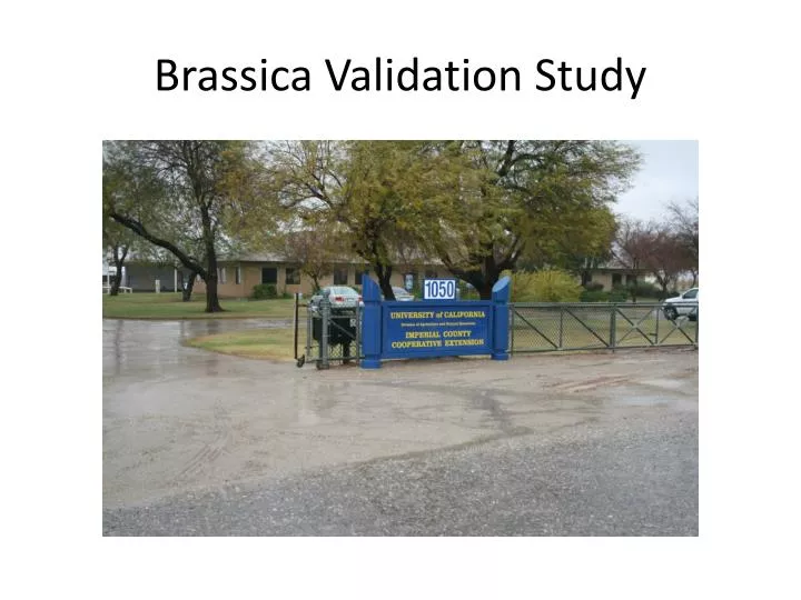 brassica validation study