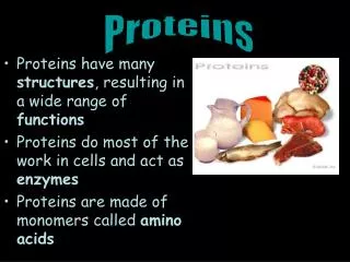 Proteins