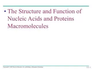 The Structure and Function of Nucleic Acids and Proteins Macromolecules
