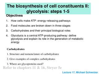 The biosynthesis of cell constituents II: glycolysis: steps 1-5