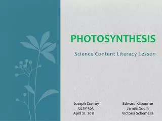 Photosynthesis