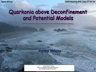 Quarkonia above Deconfinement and Potential Models