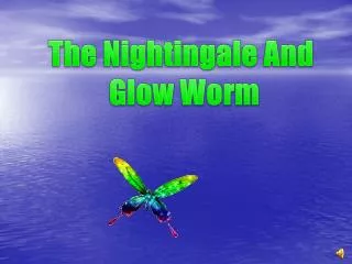 The Nightingale And Glow Worm