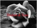Diction &amp; Tone - slide 1