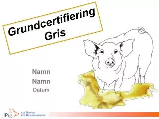namn namn datum