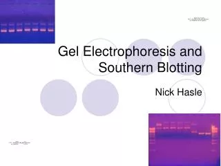 Gel Electrophoresis and Southern Blotting