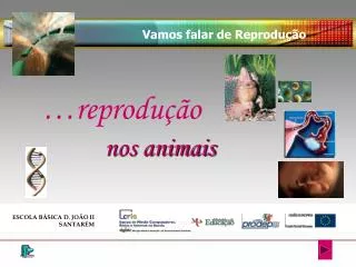 reprodu o