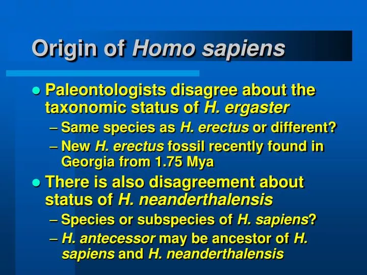 origin of homo sapiens