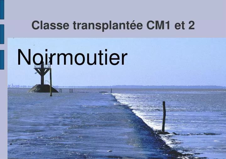 classe transplant e cm1 et 2