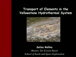 Selisa Rollins Mentor: Dr. Everett Shock School of Earth and Space Exploration