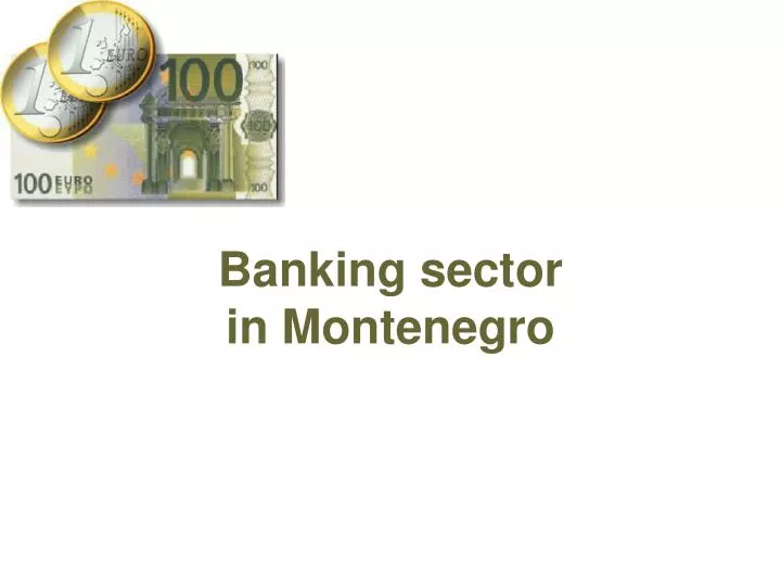 banking sector in montenegro