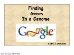 Finding Genes In a Genome - slide 1