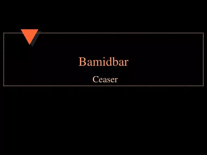 bamidbar