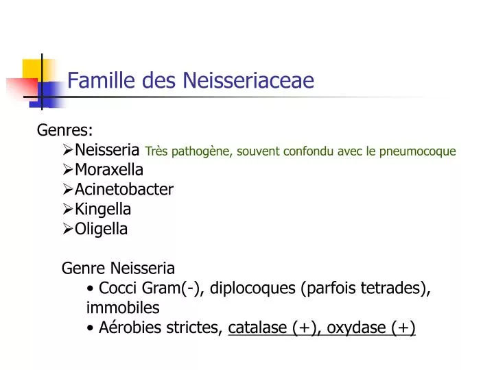 famille des neisseriaceae