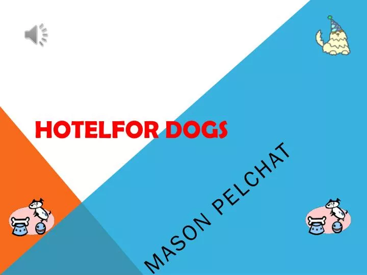 hotelfor dogs