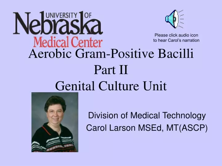 aerobic gram positive bacilli part ii genital culture unit
