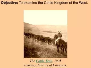 Objective: To examine the Cattle Kingdom of the West.