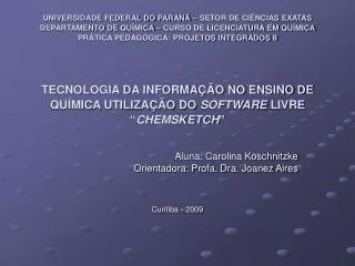 Aluna: Carolina Koschnitzke Orientadora: Profa. Dra. Joanez Aires Curitiba - 2009