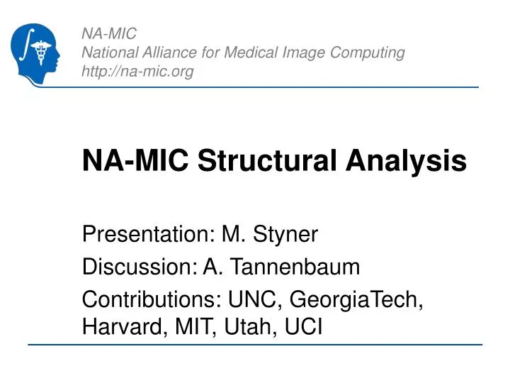 na mic structural analysis