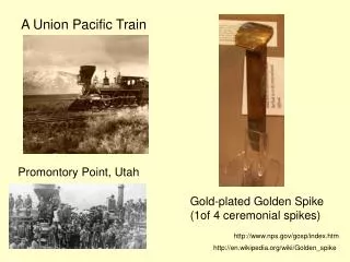 A Union Pacific Train