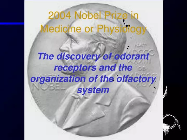 2004 nobel prize in medicine or physiology