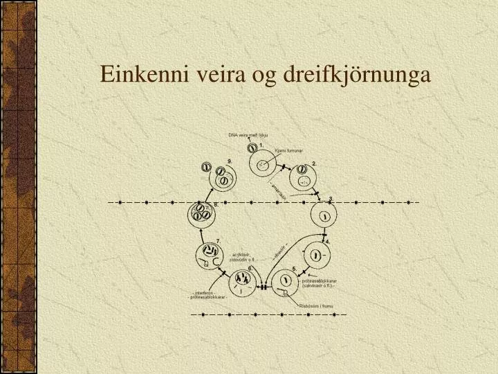 einkenni veira og dreifkj rnunga