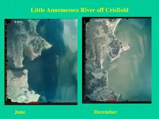 Little Annemessex River off Crisfield