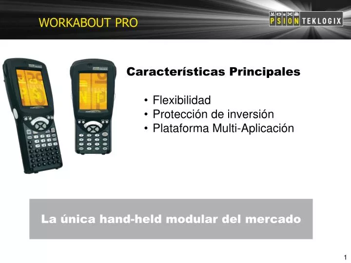 workabout pro