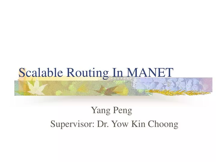 scalable routing in manet