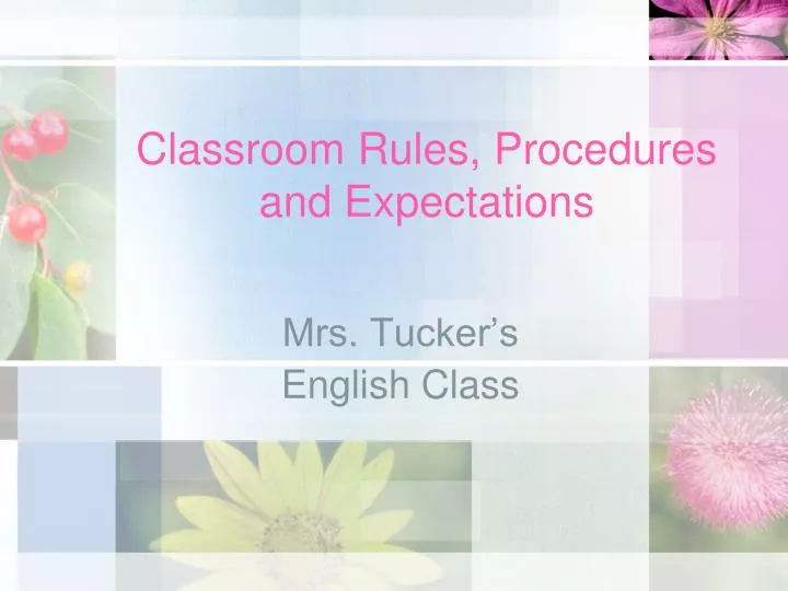 classroom rules procedures and expectations