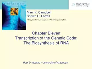 Chapter Eleven Transcription of the Genetic Code: The Biosynthesis of RNA