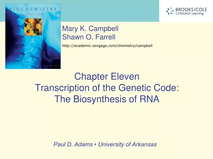 chapter eleven transcription of the genetic code the biosynthesis of rna