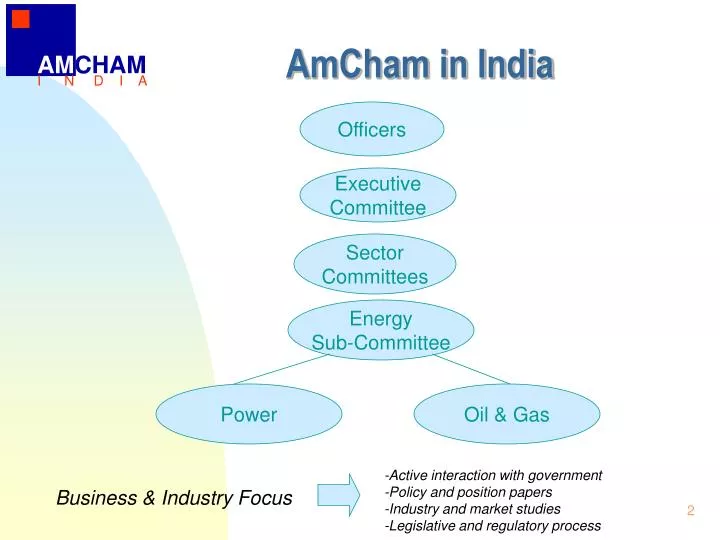 amcham in india
