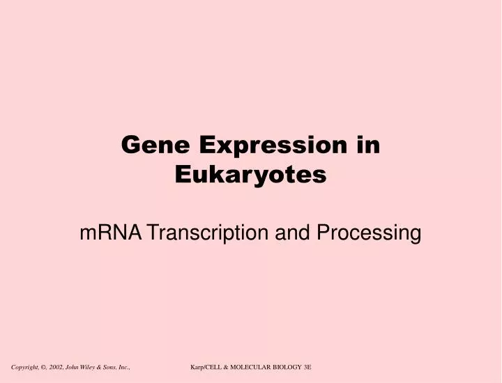 gene expression in eukaryotes