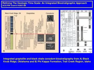 Refining The Geologic Time Scale: An Integrated Biostratigraphic Approach ACS/PRF Grant # 43907-B8