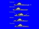 Attachment - slide 1