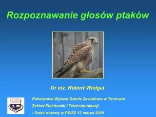 rozpoznawanie g os w ptak w