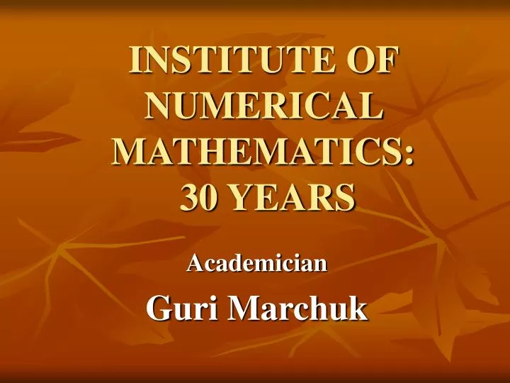 institute of numerical mathematics 30 years