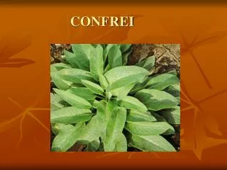 confrei