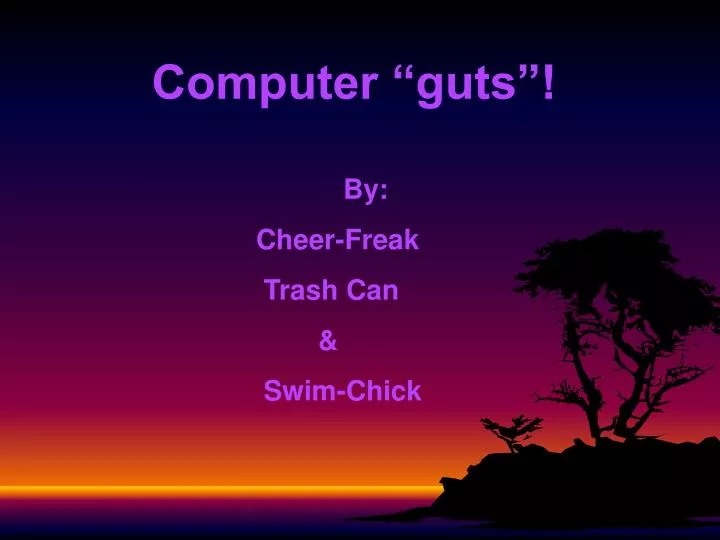 computer guts