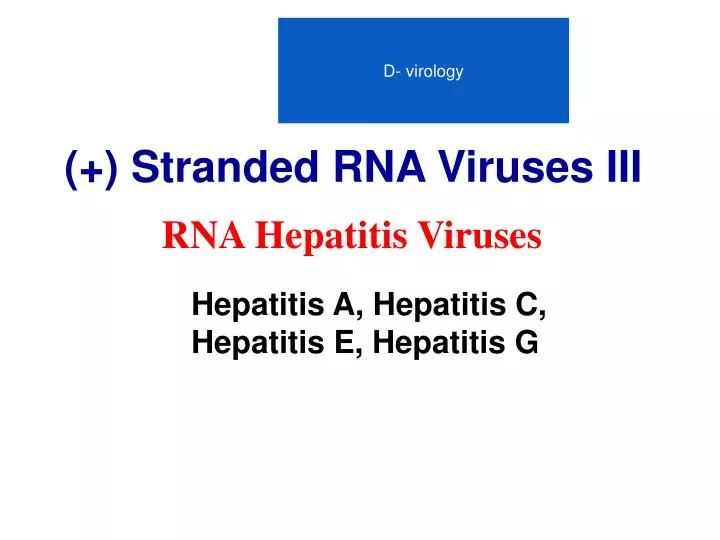 stranded rna viruses iii