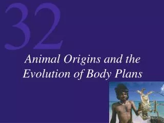 Animal Origins and the Evolution of Body Plans