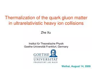 Thermalization of the quark gluon matter in ultrarelativistic heavy ion collisions