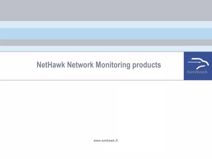 nethawk network monitoring products
