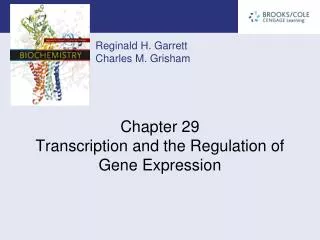 Chapter 29 Transcription and the Regulation of Gene Expression
