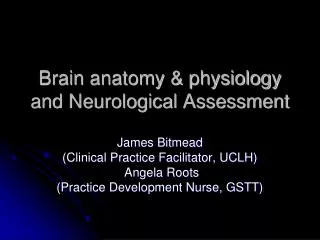 Brain anatomy &amp; physiology and Neurological Assessment